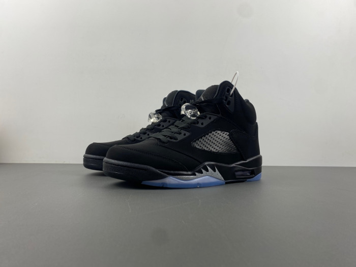 Air Jordan 5 "Black Cat" AJ50409