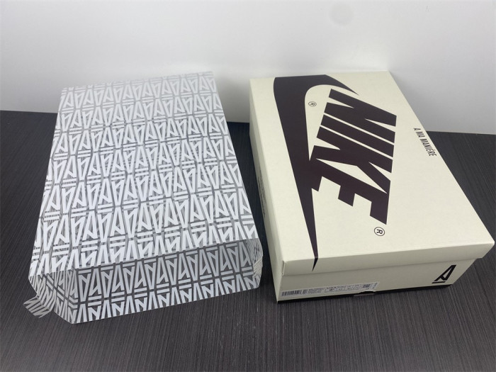 Air Jordan 1 High OG Sail/Burgundy Crush DO7097-100