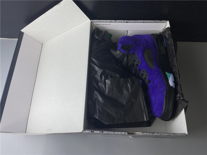 Jordan 5 Retro Alternate Grape 136027-500