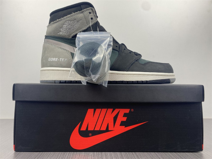 Air Jordan 1 Element Gore-Tex DB2889-001
