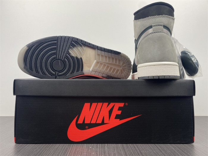 Air Jordan 1 Element Gore-Tex DB2889-001