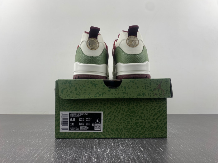 Air Jordan 3 FJ6372-100