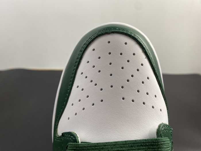 Nike Dunk Low Michigan State DD1391-101