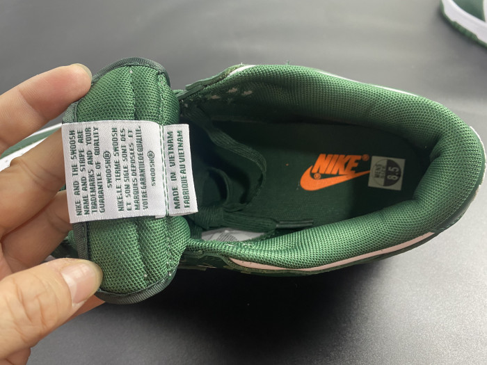 Nike Dunk Low Michigan State DD1391-101