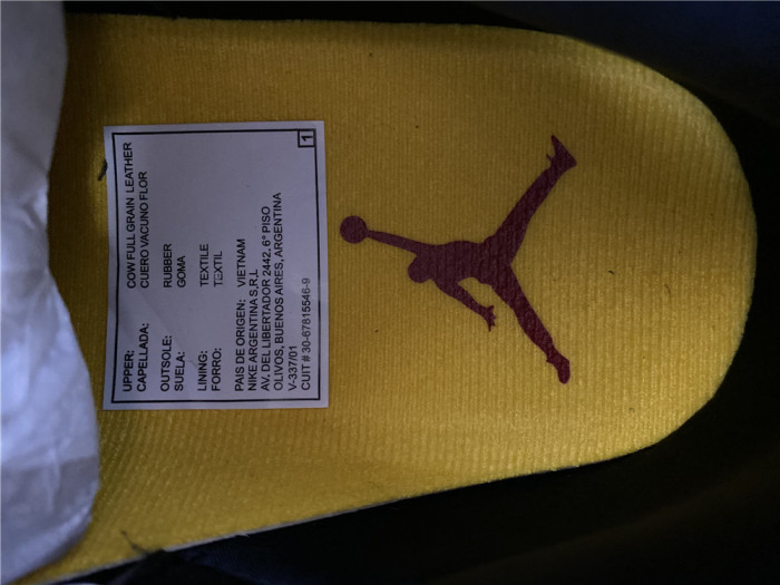 Jordan 3 Retro SE Animal Instinct 2.0 CV3583-003