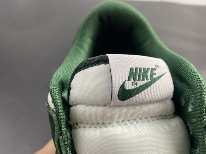 Nike Dunk Low Michigan State DD1391-101