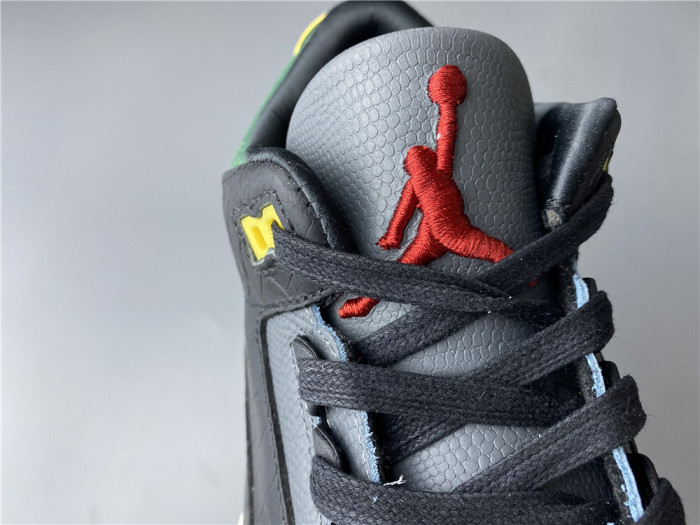 Jordan 3 Retro SE Animal Instinct 2.0 CV3583-003