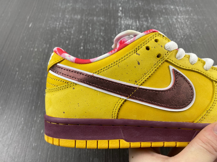 NIKE Dunk Low Premium SB 