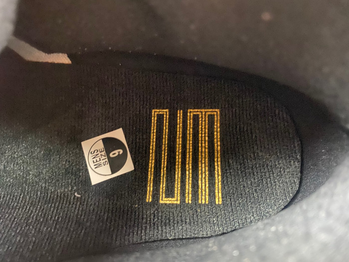 AIR JORDAN 11 “DMP” Gratitude  CT8012-170