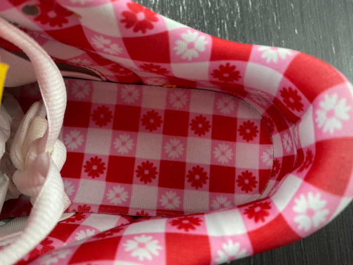 NIKE Dunk Low Premium SB 