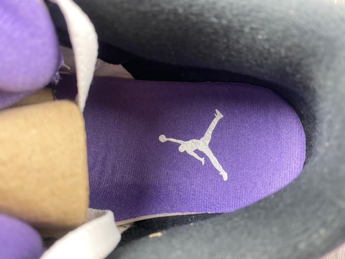 Air Jordan 3 “Dark Iris” CT8532-105