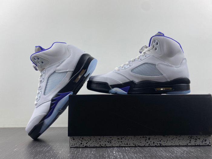 Air Jordan5 CONCORD DD0587-141