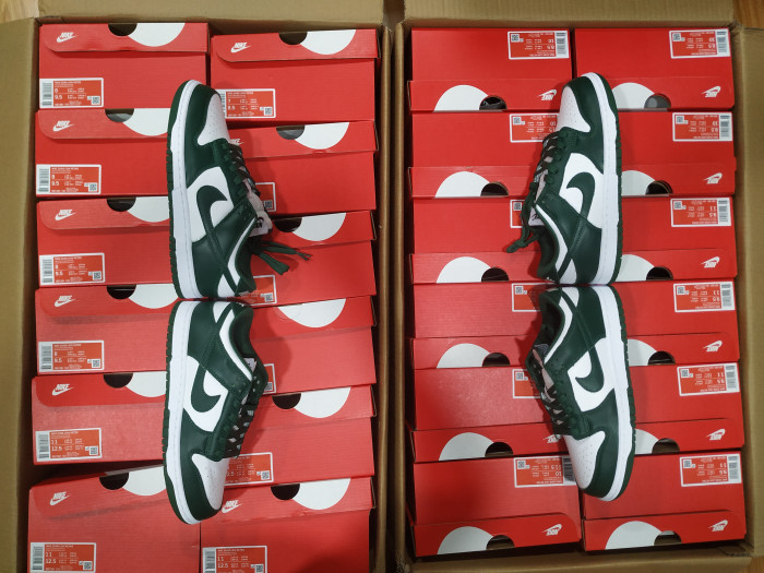Nike Dunk Low Michigan State DD1391-101