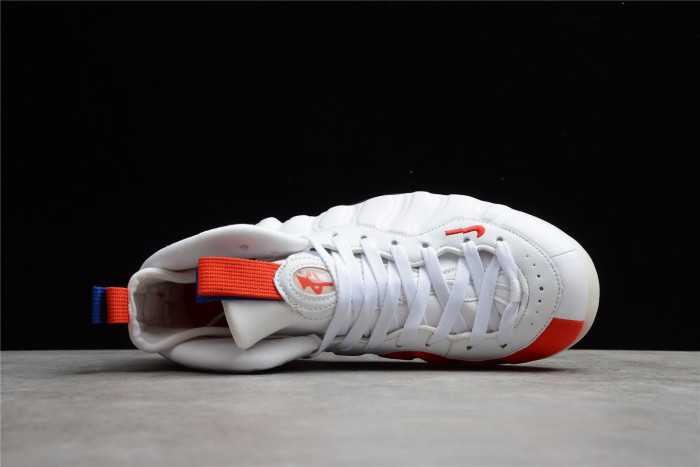 Nike Air Foamposite One USA (W) AA3963-102