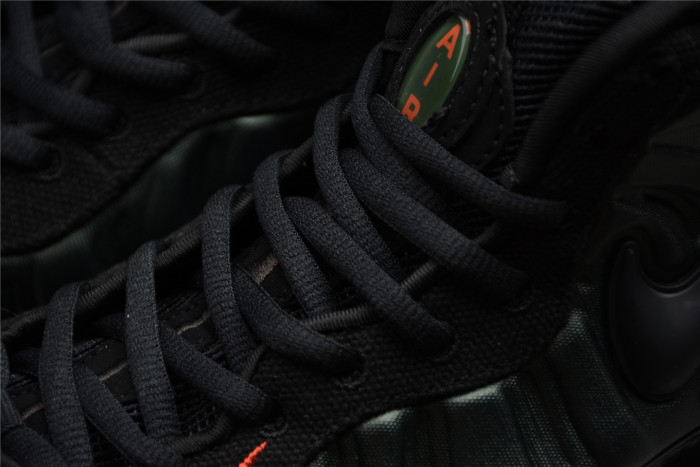 Nike Air Foamposite Pro Sequoia 624041-304