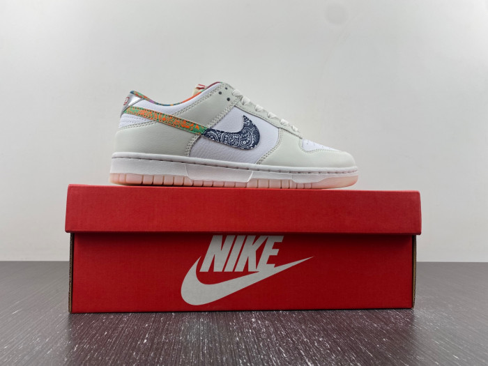 Nike Dunk Low GS FN8913-141