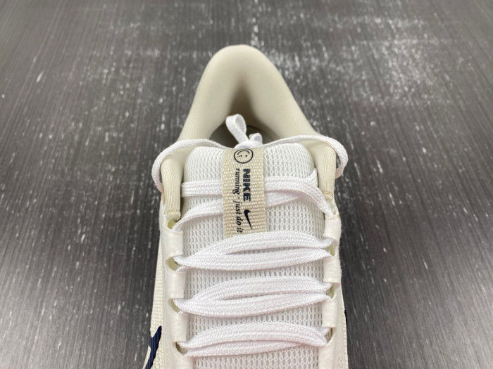 Nike Air Zoom Pegasus 40 WIDE DV7480-100