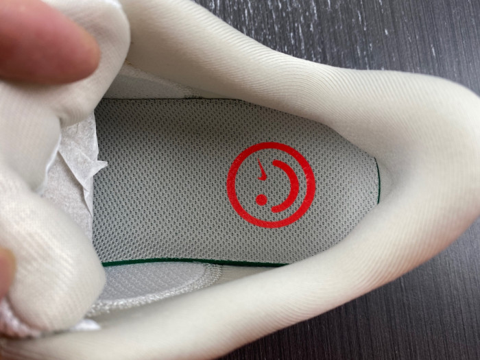 Nike Air Zoom Pegasus 40 WIDE DV7480-100