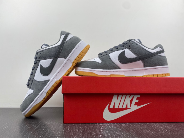 NIKE DUNK LOW FV0389-100