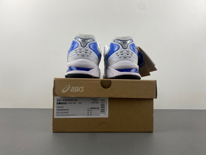 ASCIS SNEAKER 1201A019-101