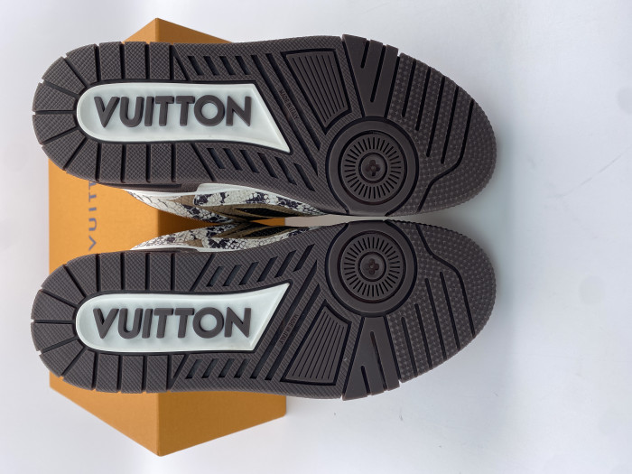 Louis Vuitton Skate Trainer