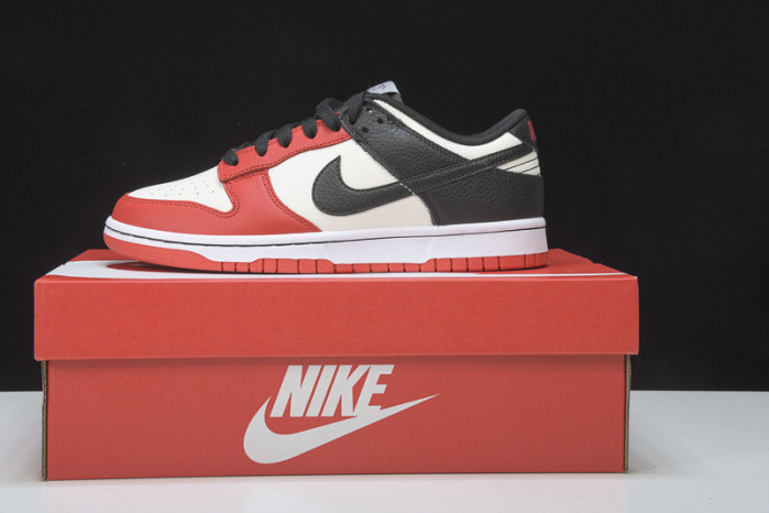 Nike Dunk Low EMB NBA 75th Anniversary DD3363-100