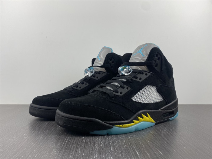 Air Jordan 5 408452-010