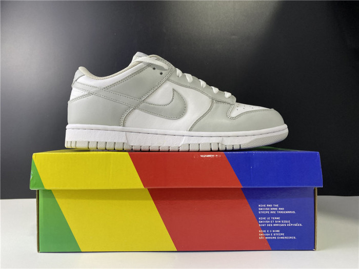 Nike SB Dunk Low Silver ash killer CU1726-201