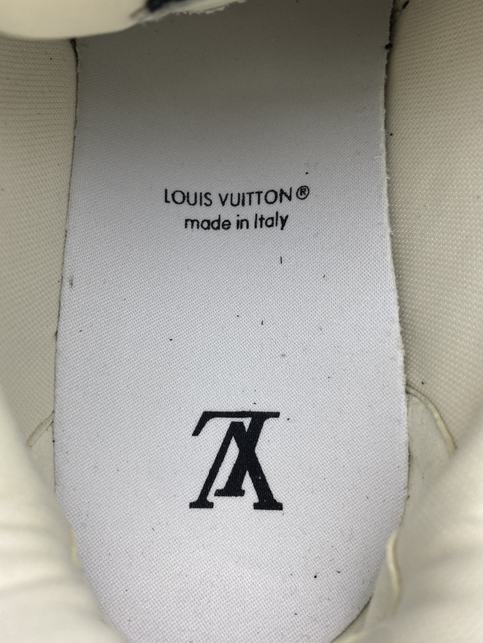 Louis Vuitton Skate Trainer