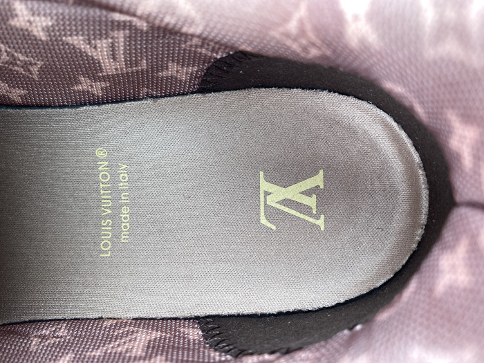 Louis Vuitton Skate Trainer