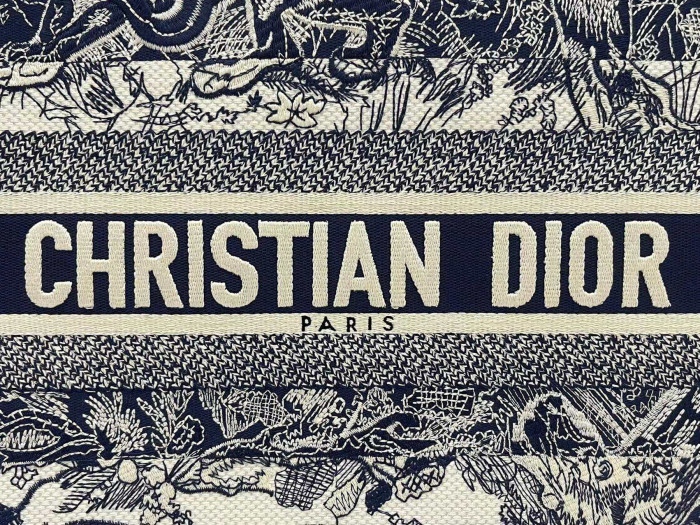 Christian Dior Book Tote