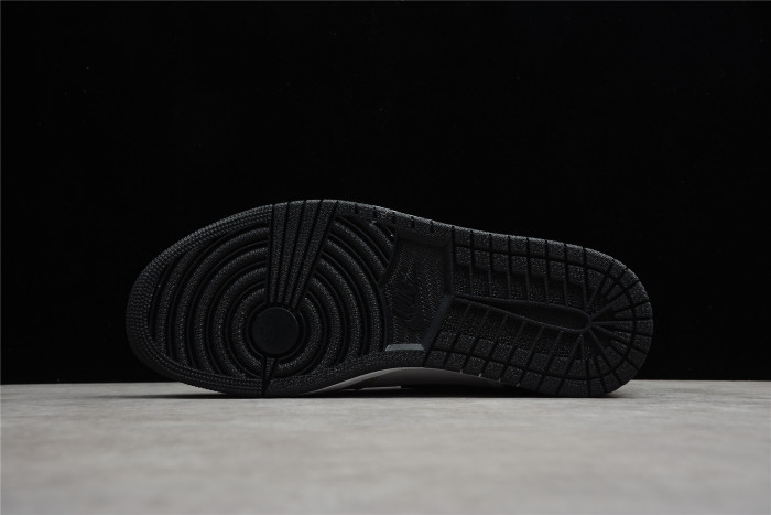 Jordan 1 Retro High OG Prototype DC6515-100